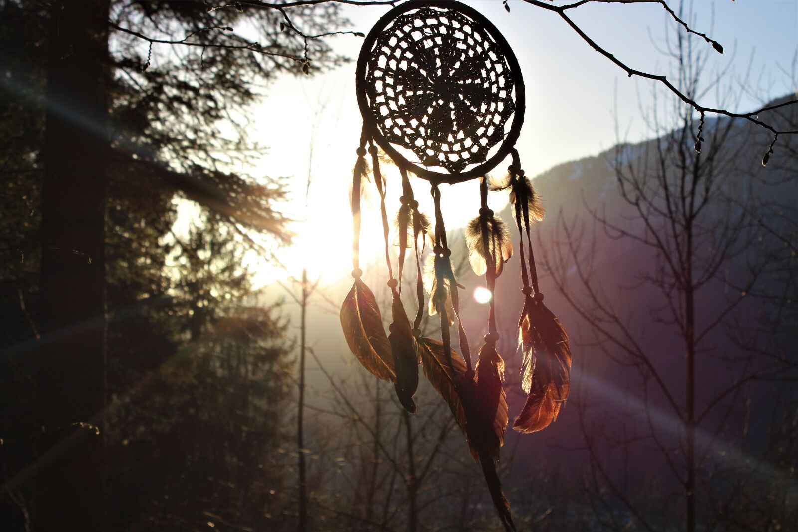 Canon EOS 600D (Rebel EOS T3i / EOS Kiss X5) sample photo. Dream catcher, feather, sunset photography