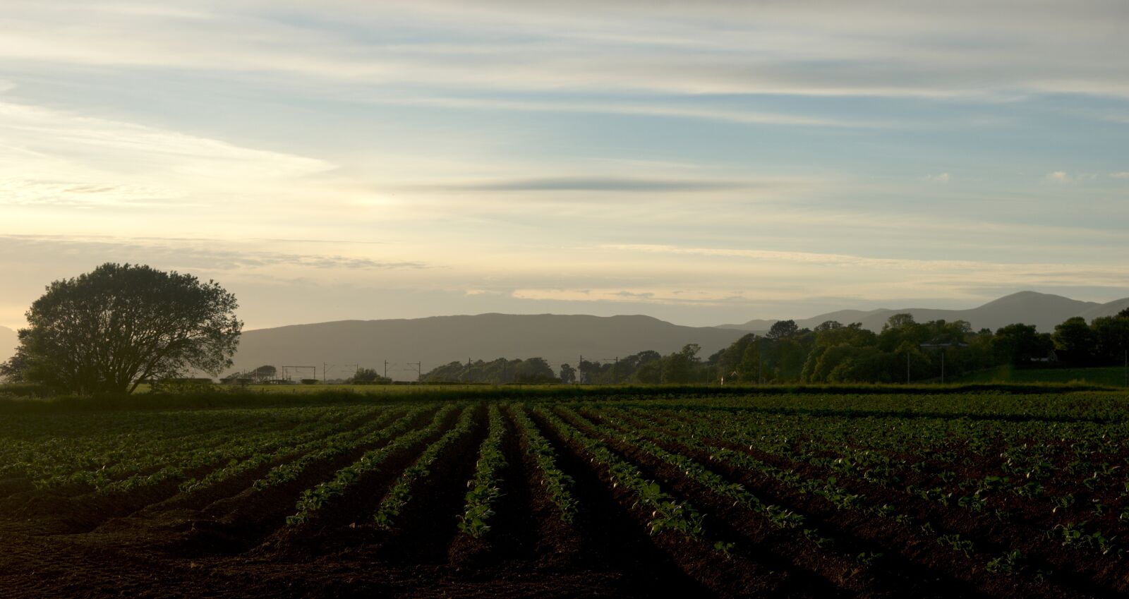 Nikon D5500 sample photo. Field, farm, farming photography