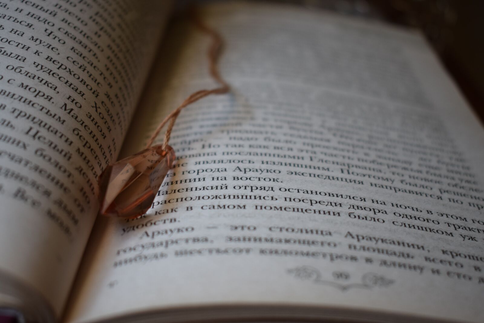 Nikon D3300 sample photo. Book, poetry, literature photography