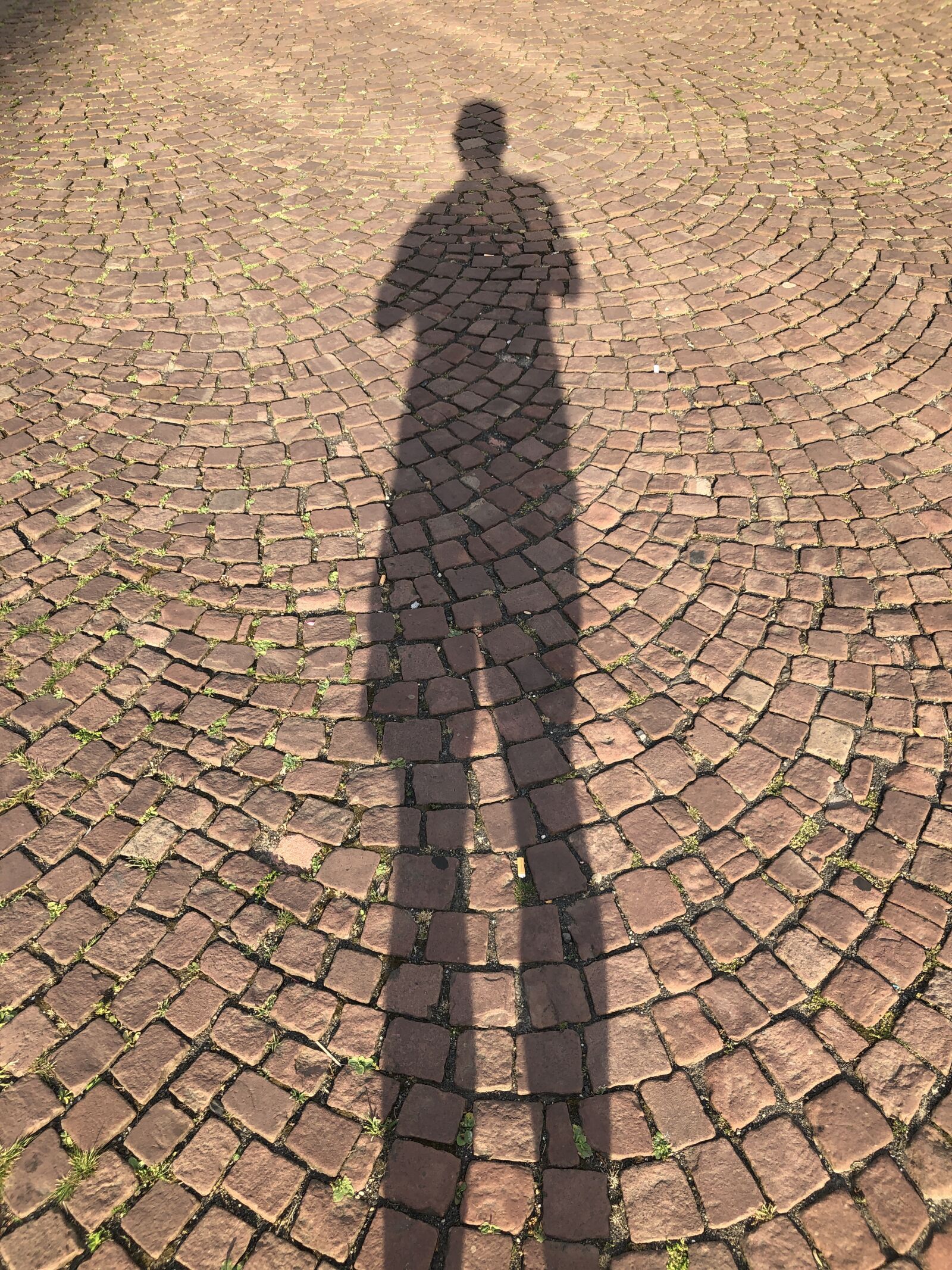 iPhone 8 Plus back dual camera 3.99mm f/1.8 sample photo. Shadow, man, person photography