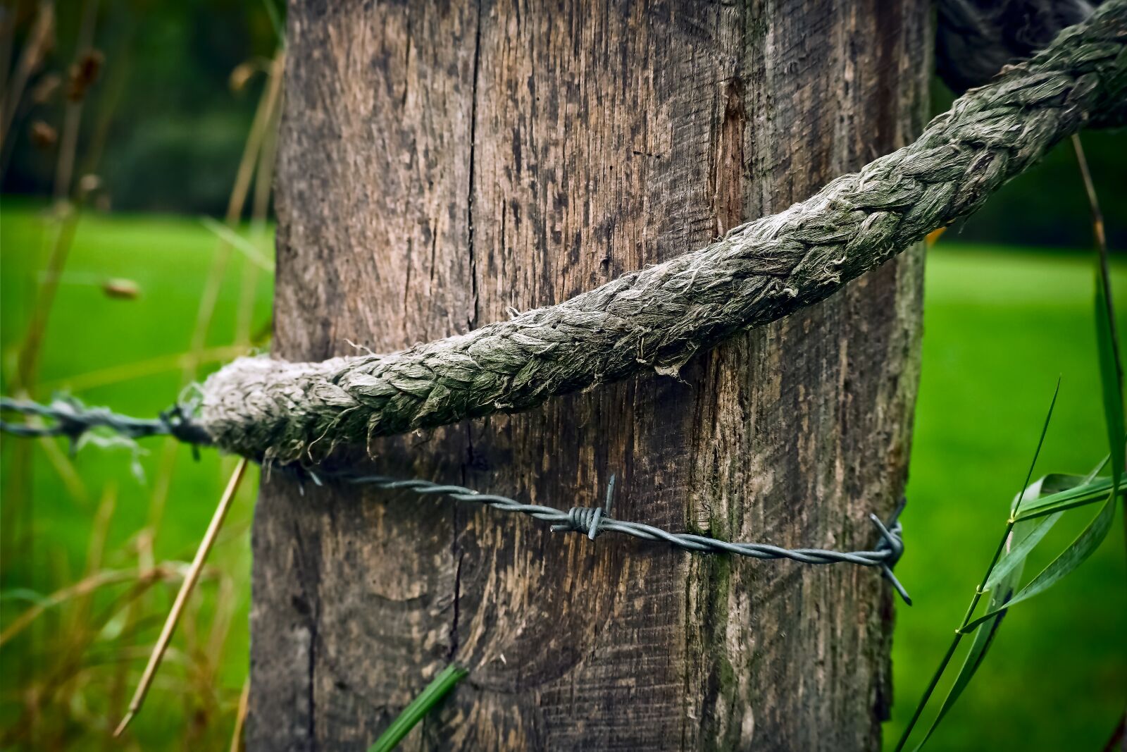 Olympus OM-D E-M10 sample photo. Wood, pile, wood pile photography