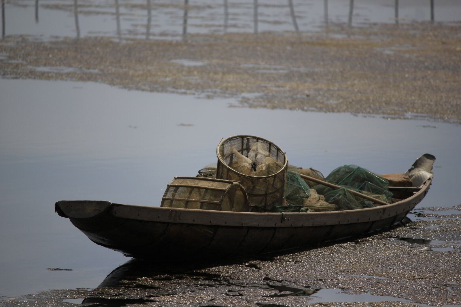 Canon EOS 550D (EOS Rebel T2i / EOS Kiss X4) sample photo. Sharp, vietnam, the boat photography