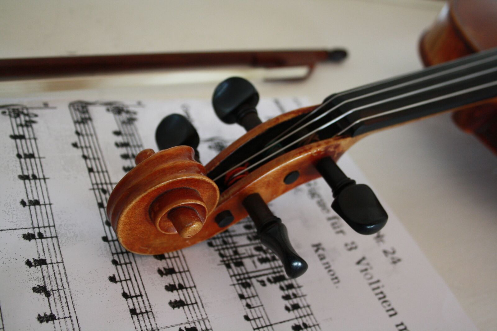 Canon EOS 1000D (EOS Digital Rebel XS / EOS Kiss F) sample photo. Violin, stringed instrument, music photography