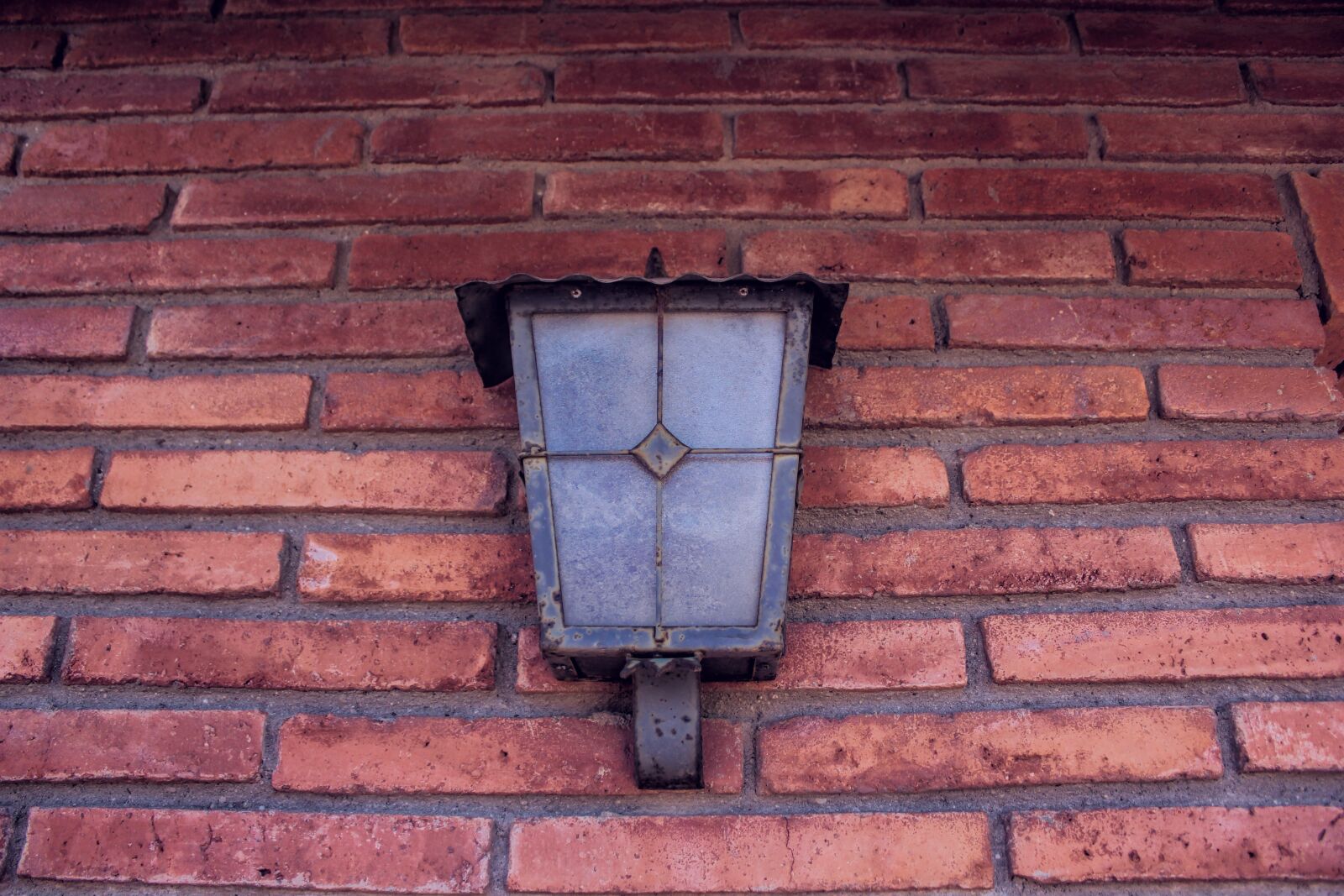 Canon EOS 550D (EOS Rebel T2i / EOS Kiss X4) sample photo. Lamp, stock, idea photography