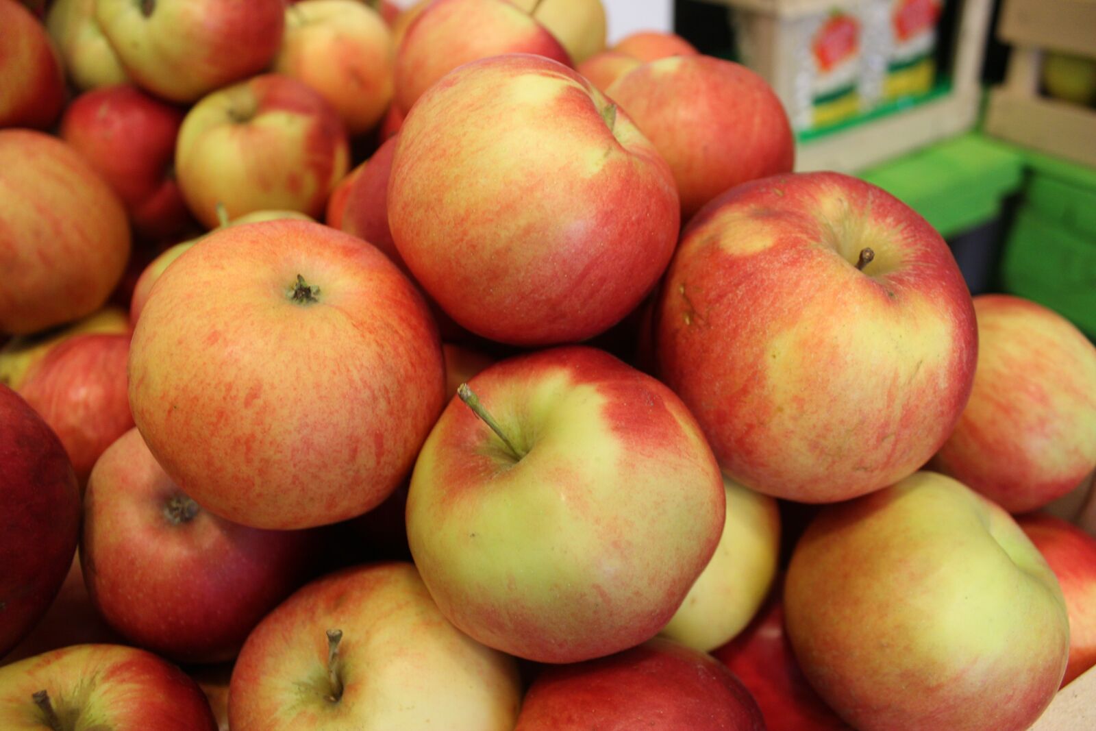 Canon EOS 600D (Rebel EOS T3i / EOS Kiss X5) sample photo. Apple, fruit, food photography