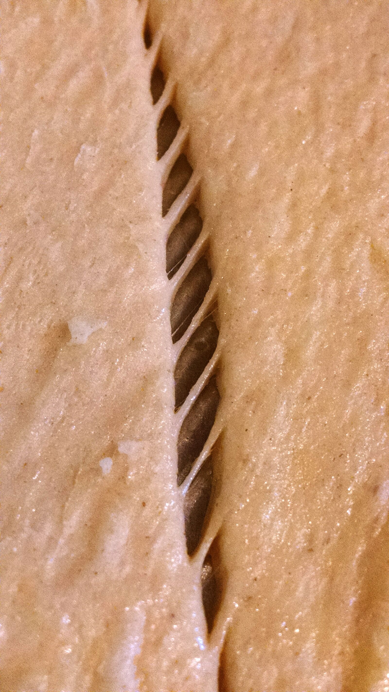 Motorola Moto X (1st Gen) sample photo. Breakfast, crescents, food, perforated photography