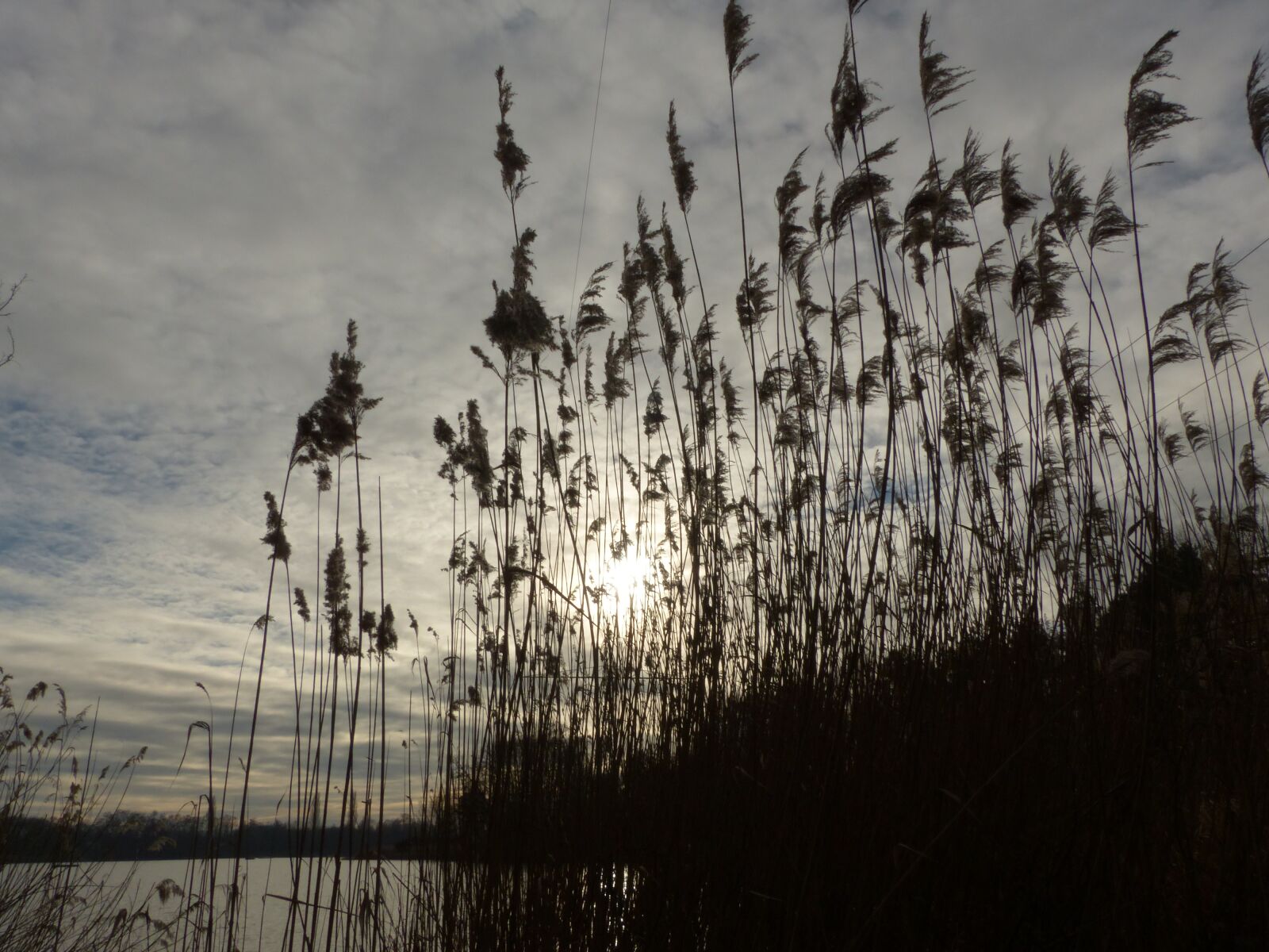 Panasonic Lumix DMC-FZ200 sample photo. Water, nature, landscape photography