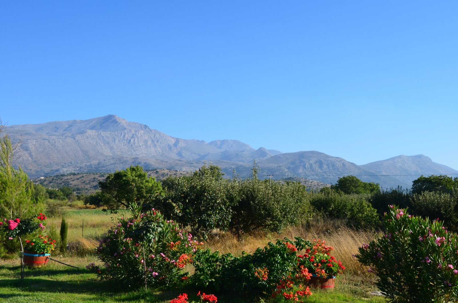 Nikon D5100 sample photo. Crete, marmakedo, holidays photography