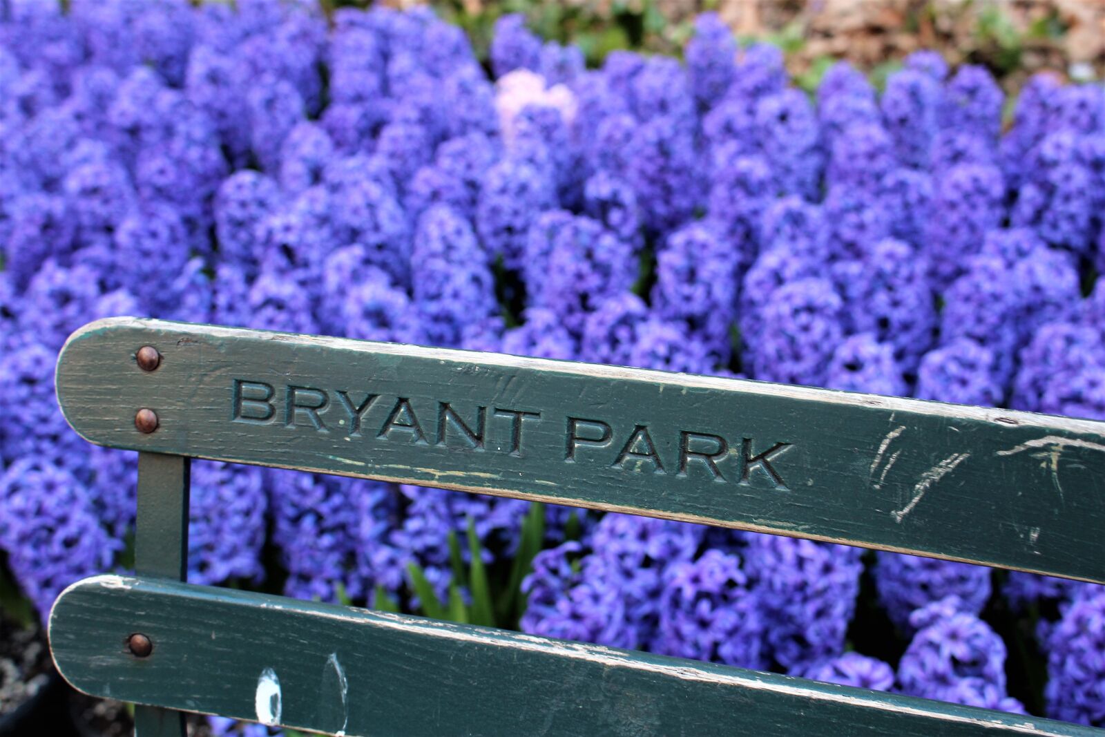Canon EOS 100D (EOS Rebel SL1 / EOS Kiss X7) sample photo. Bryant park, fence, flowers photography