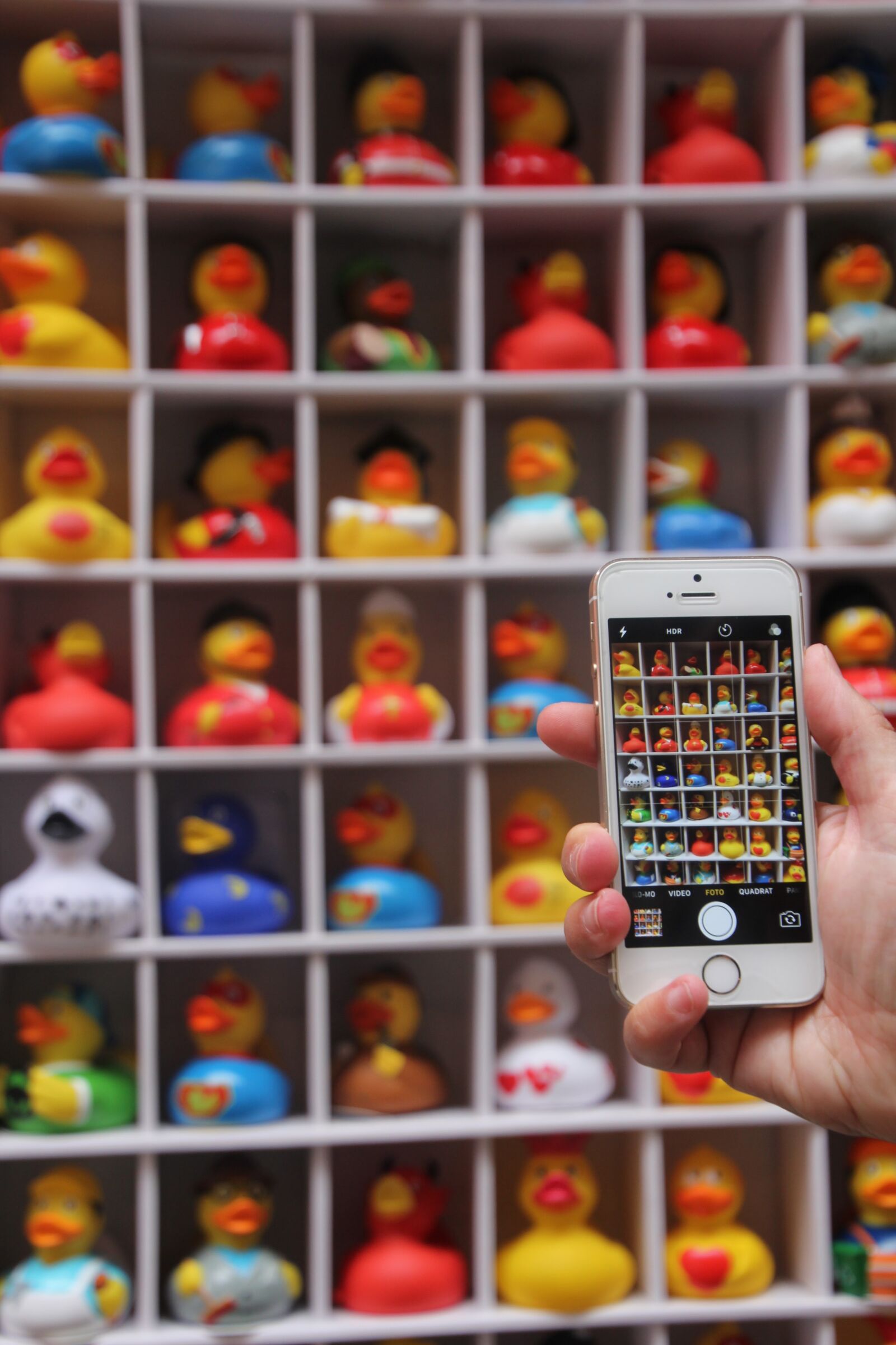 Canon EOS 60D sample photo. Photo, ducks, rubber duckies photography