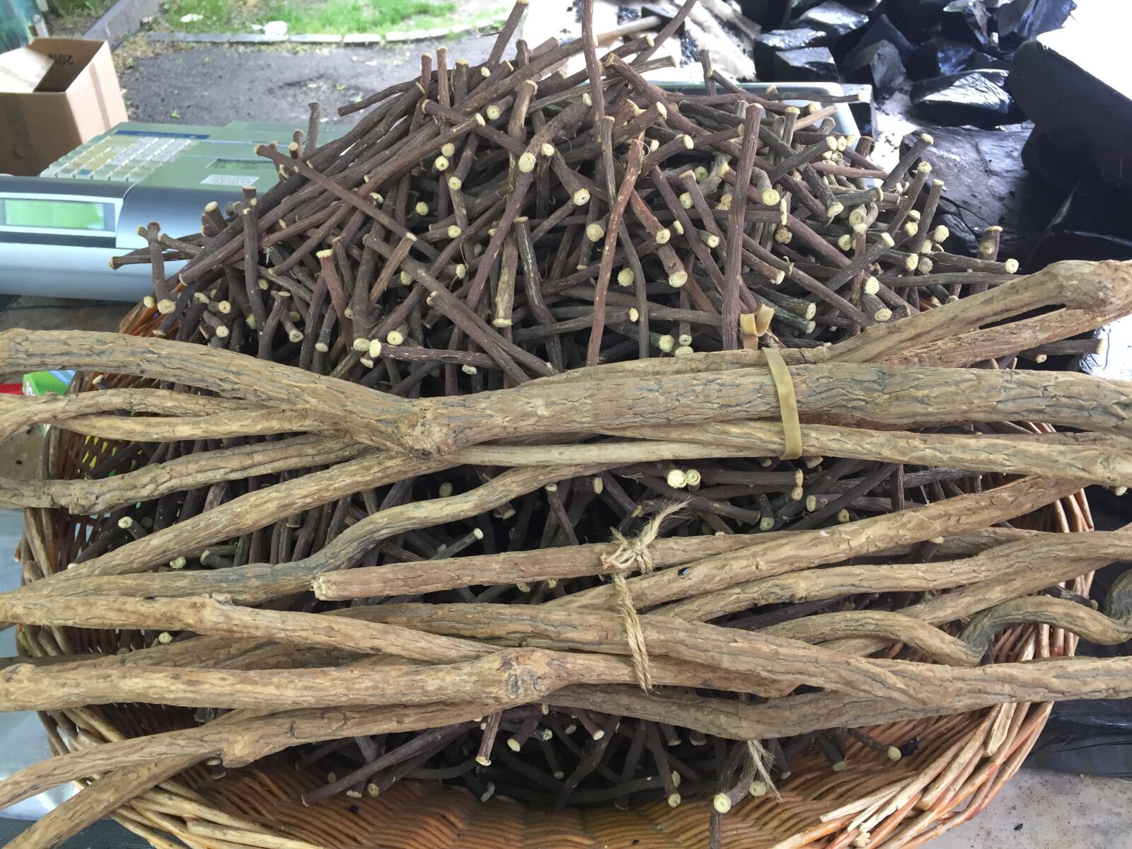 Apple iPhone 6 sample photo. Liquorice, zahnreinigung, wood photography