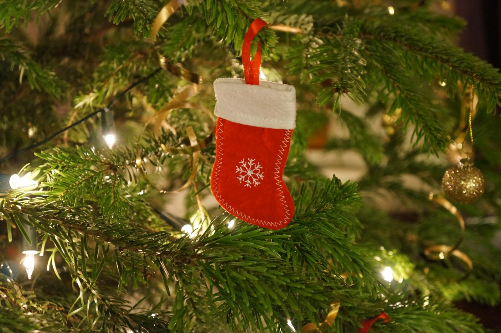 Sony Alpha NEX-5N + Sony E 18-55mm F3.5-5.6 OSS sample photo. Christmas, stocking, tree photography