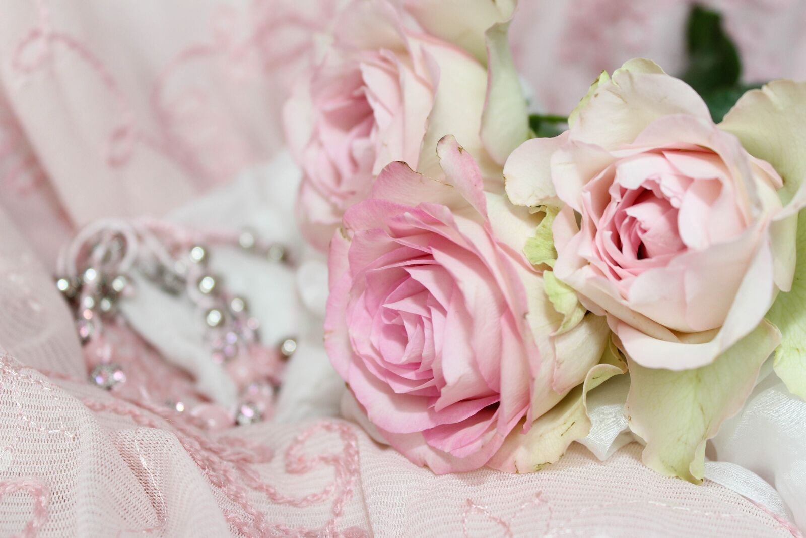 Canon EOS 600D (Rebel EOS T3i / EOS Kiss X5) sample photo. Roses, jewellery, bracelet photography