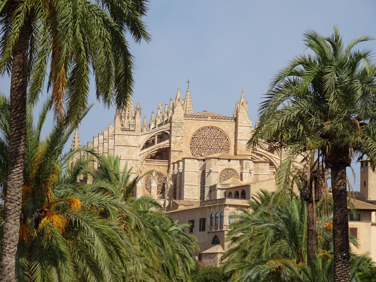 Sony Cyber-shot DSC-WX350 sample photo. Palma, cathedral, mallorca photography