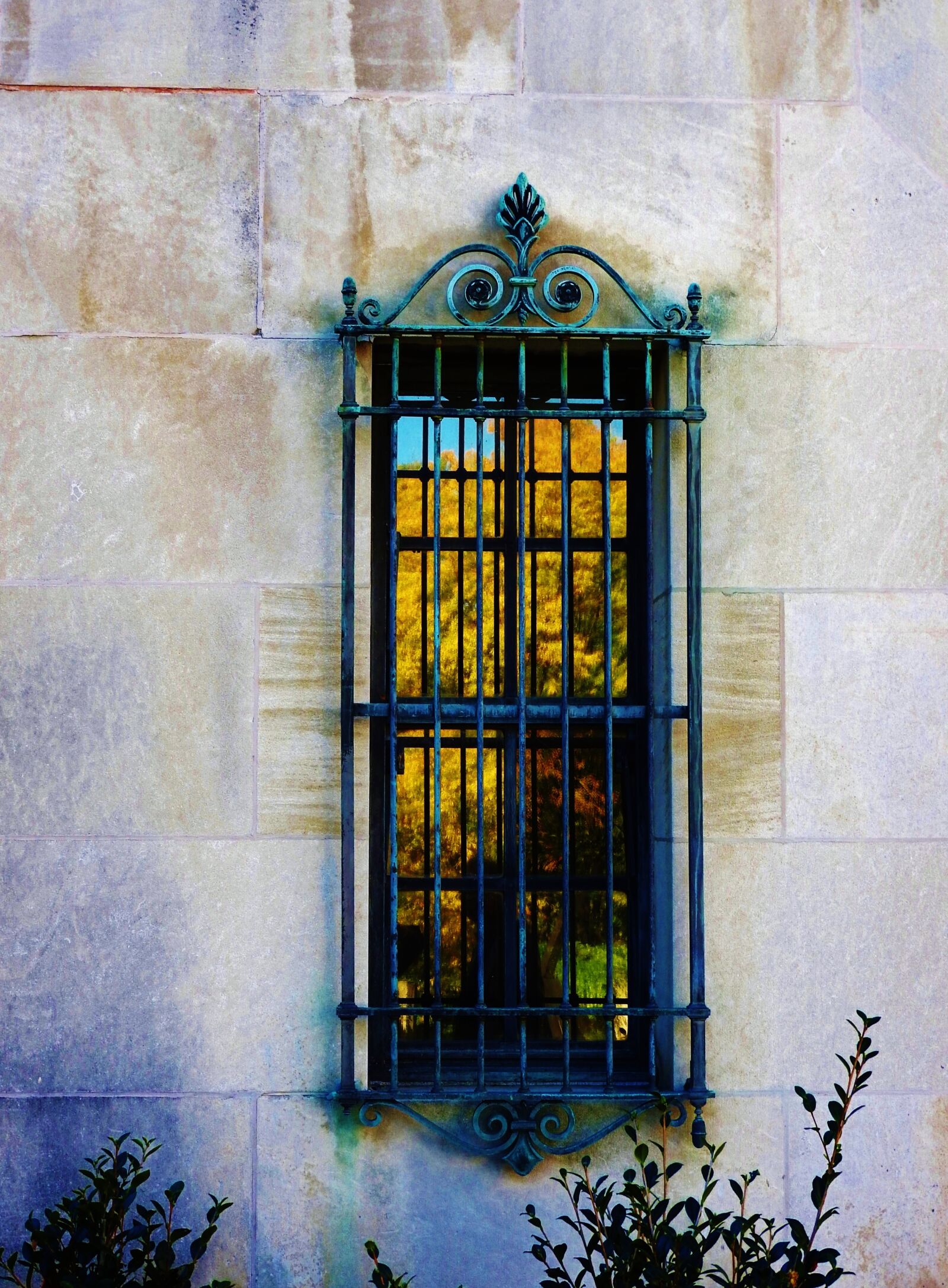 Nikon Coolpix P610 sample photo. Window, trees, fall photography