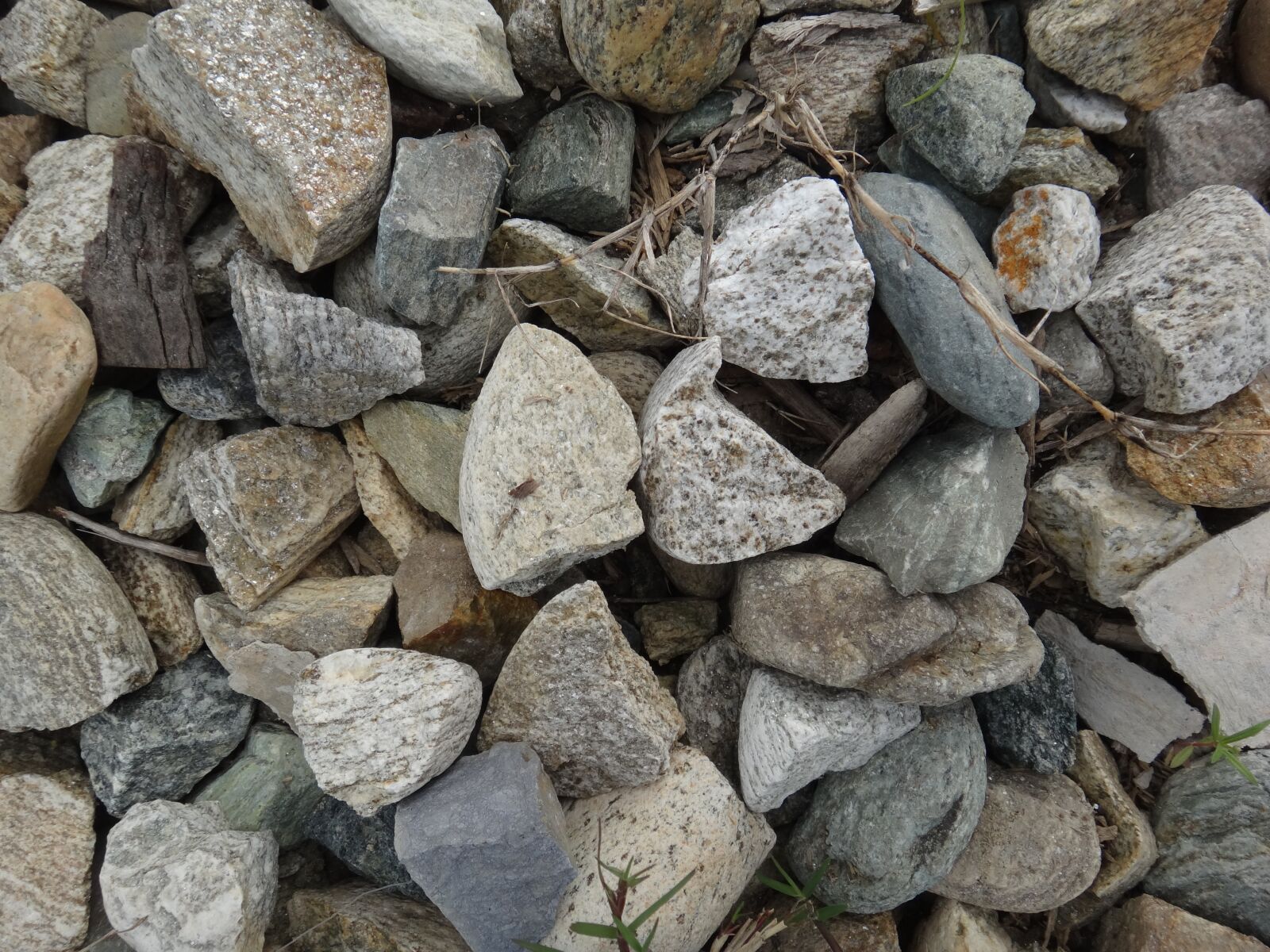 Sony DSC-TX20 sample photo. Gravel, stones, texture photography