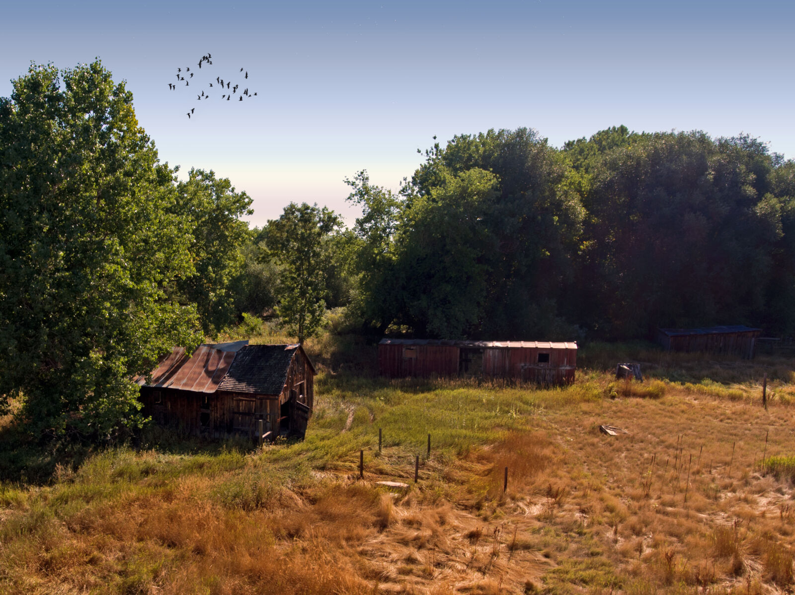 DJI FC330 sample photo. Cabin, historical, home, landscape photography