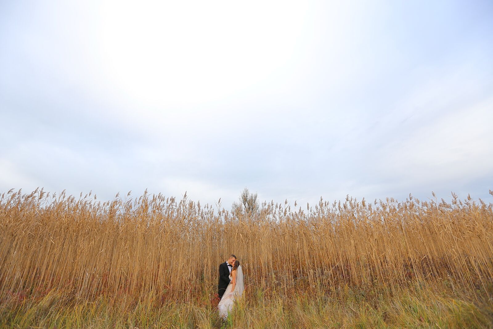 Canon EF 16-35mm F2.8L II USM sample photo. Grass, rural, high, bride photography