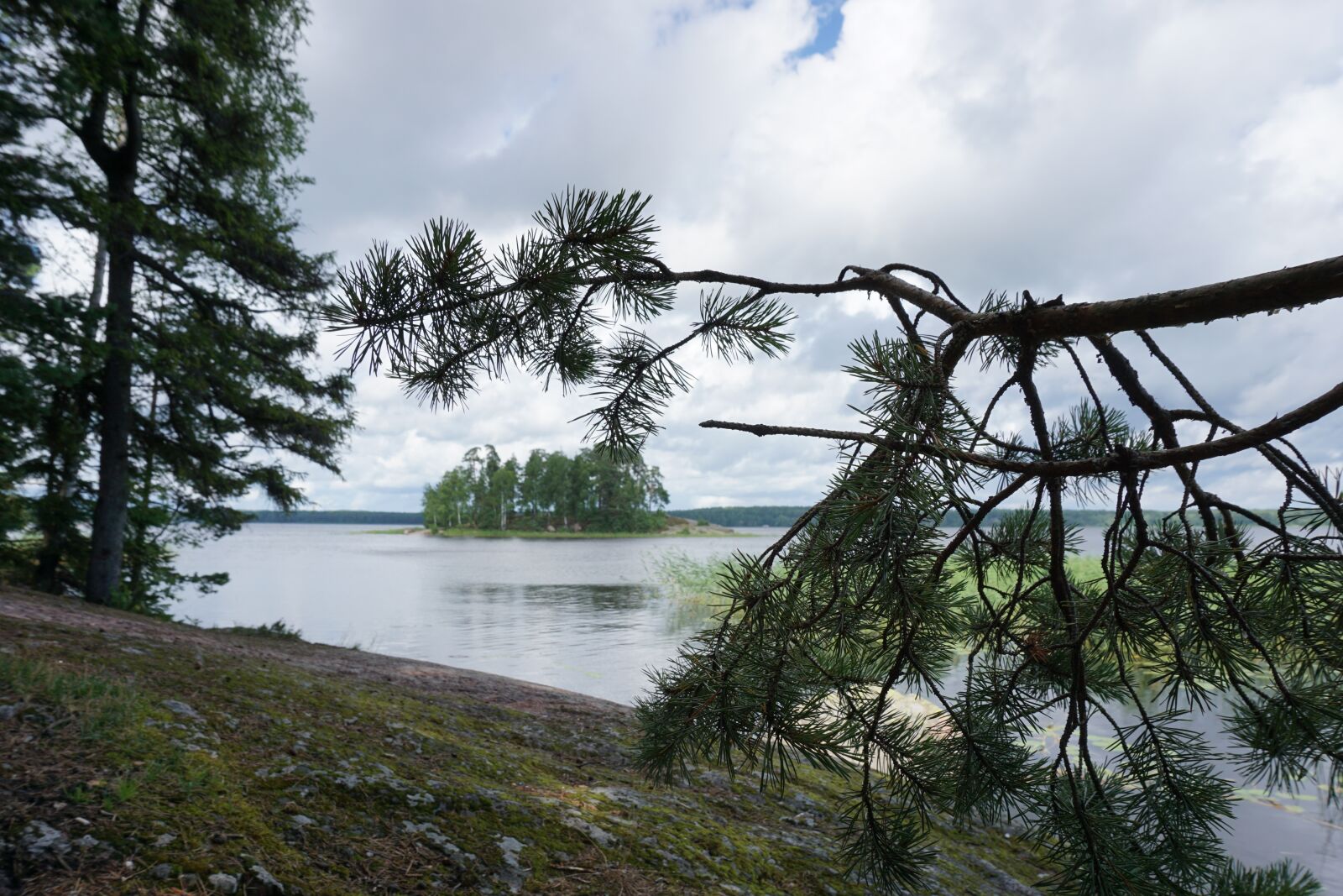 Sony a6000 sample photo. Vyborg, park, mon repos photography