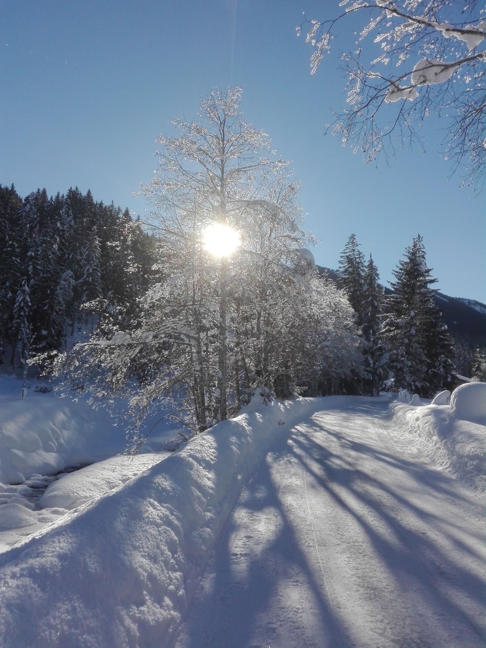 HUAWEI P8 Lite sample photo. Nature, wintry, sun photography