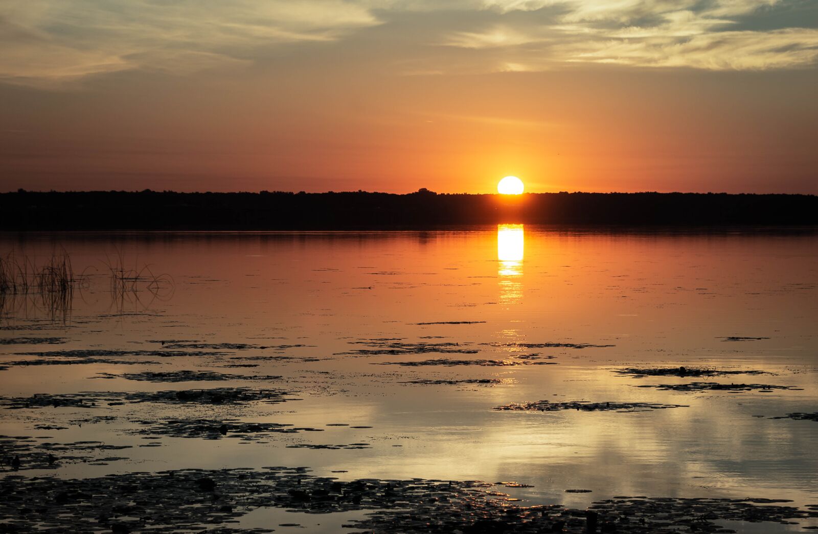 Nikon D7200 sample photo. Sun, nature, landscape photography