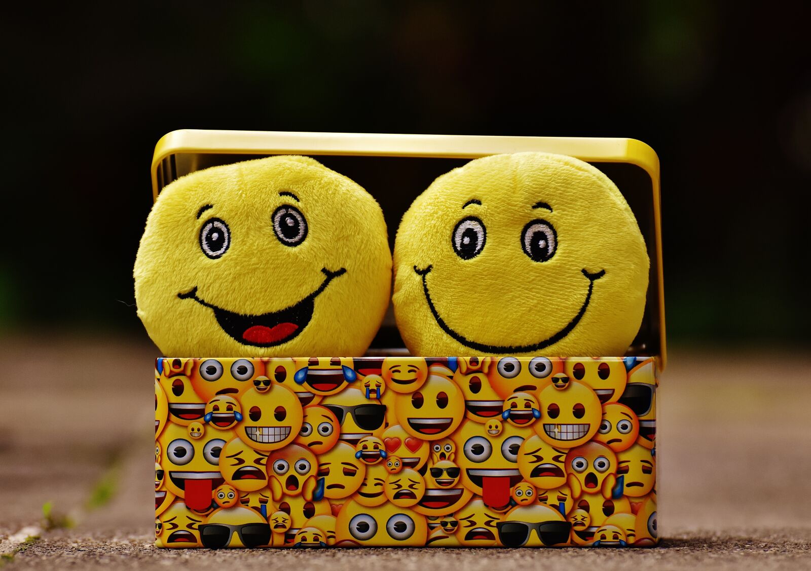 Nikon D7200 sample photo. Smilies, yellow, funny photography