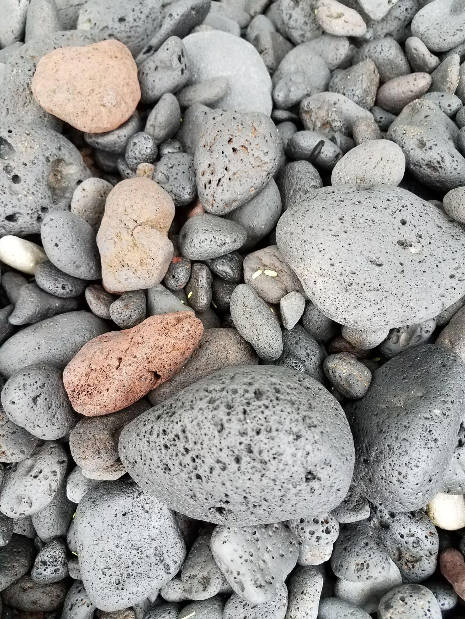 Samsung Galaxy S7 Edge sample photo. Beach, rocks, grey photography