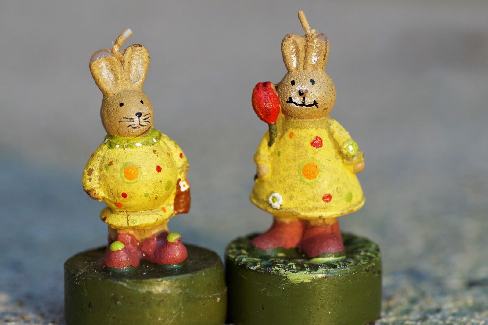 Sony SLT-A58 sample photo. Bunny girl, female hares photography