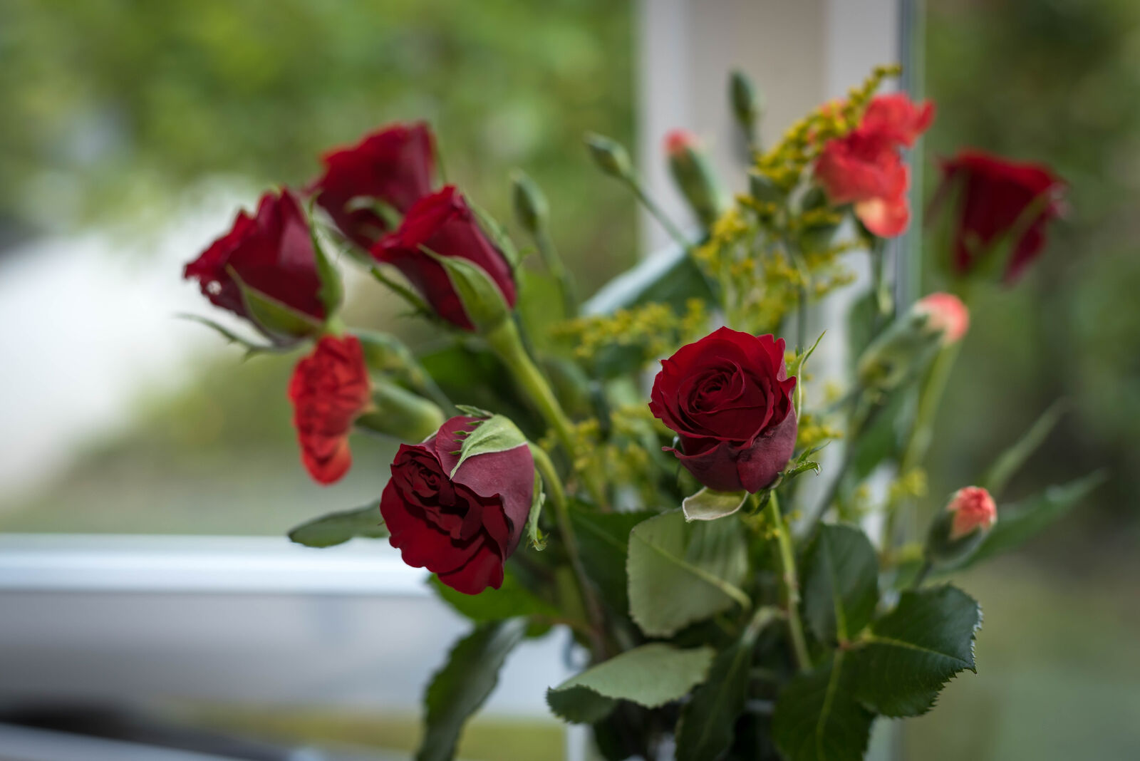 Nikon D750 + Nikon AF-S Nikkor 50mm F1.8G sample photo