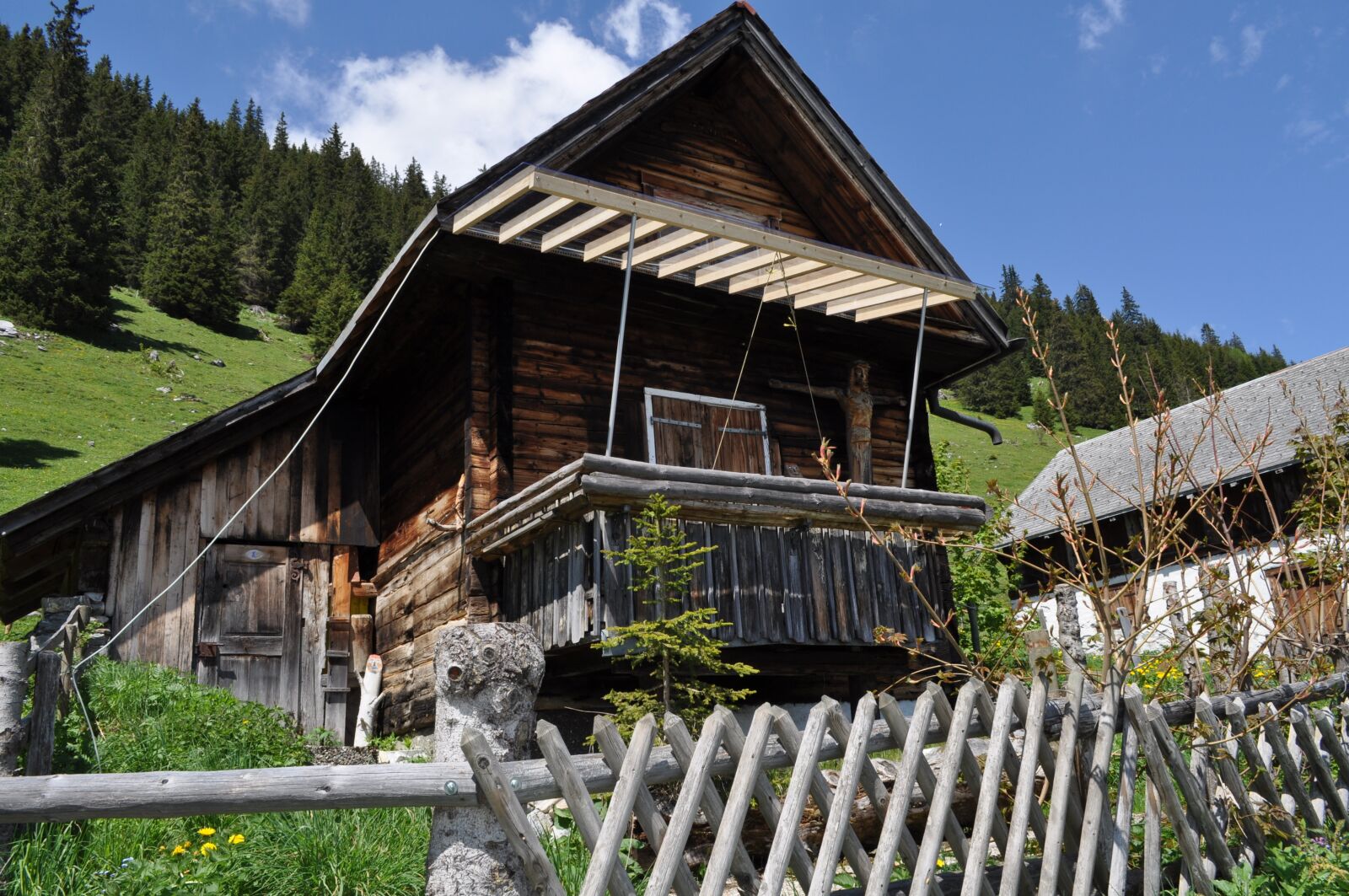 Nikon D5000 sample photo. Alm, switzerland, mountains photography
