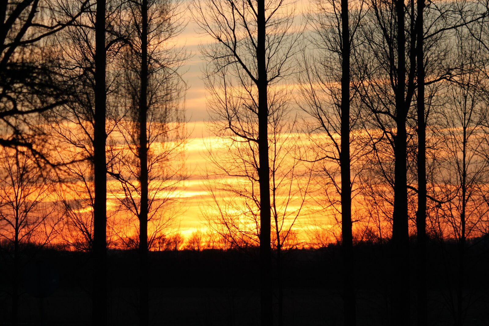 Canon EOS 500D (EOS Rebel T1i / EOS Kiss X3) sample photo. Evening, sunset, sun photography