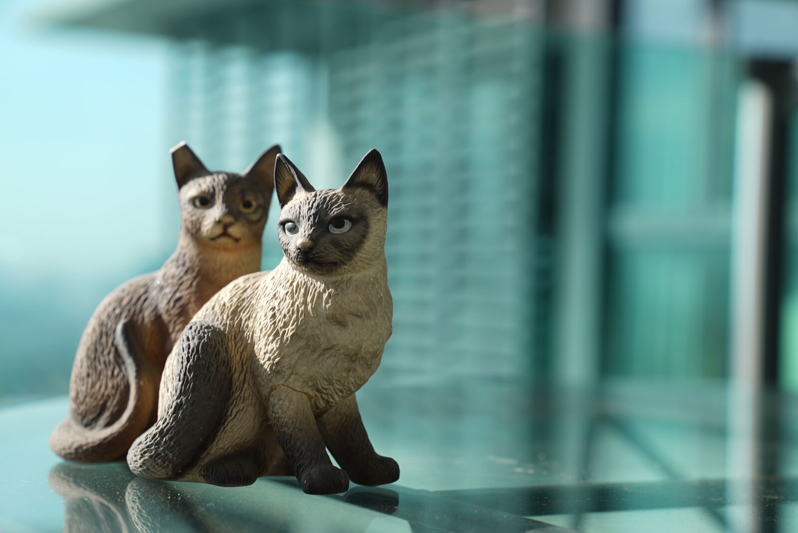 Sony a7S + Sony FE 24-70mm F2.8 GM sample photo. Two cats, ceramic cats photography