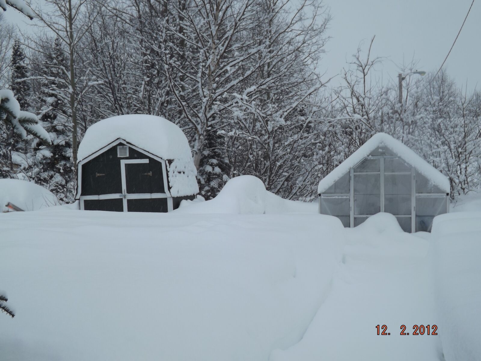 Fujifilm FinePix S4200 sample photo. Winter, snow, white photography