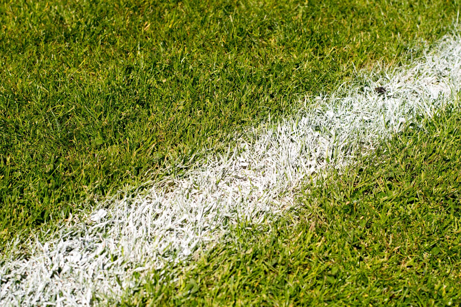 Nikon D3300 sample photo. World cup, world cup photography
