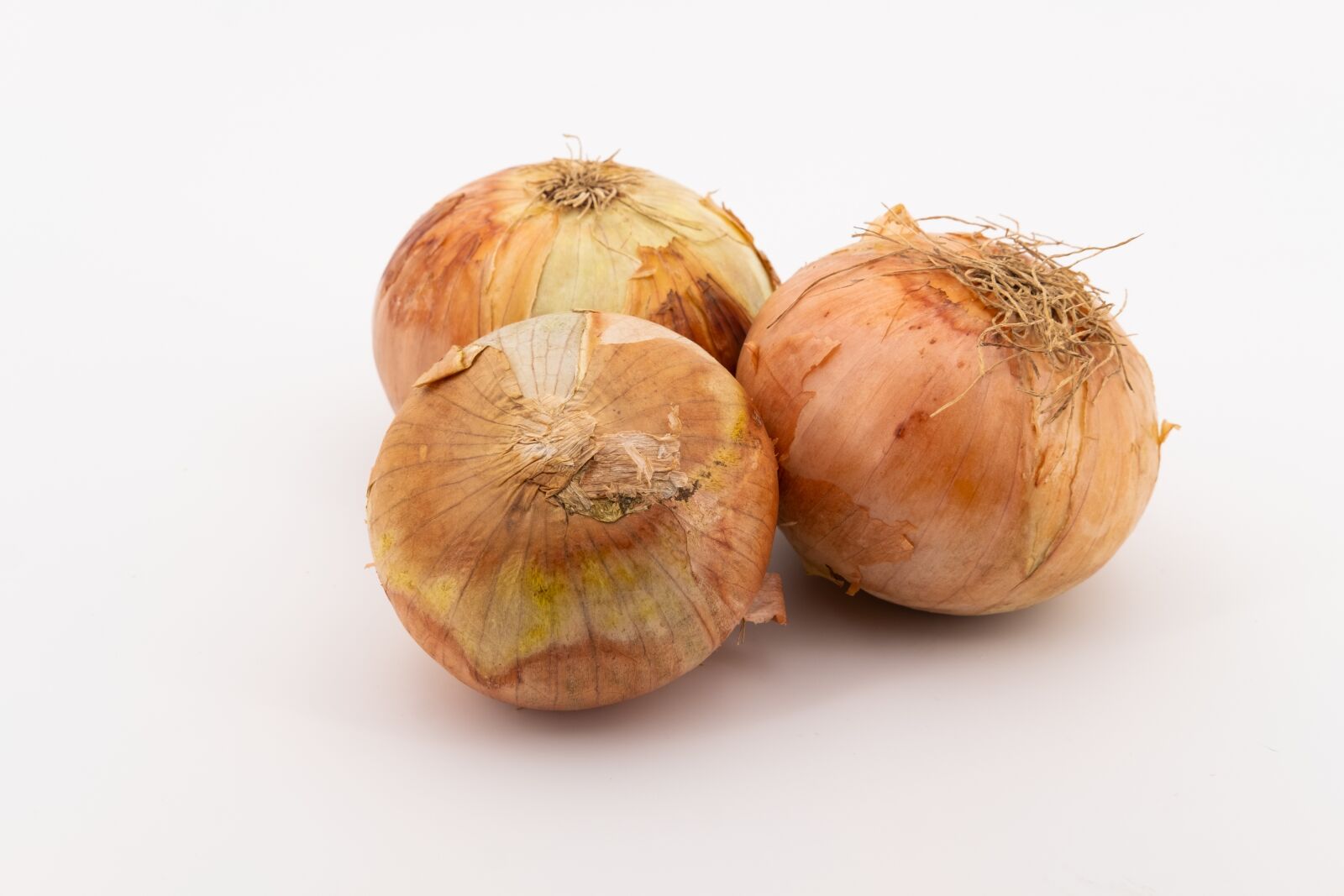 Fujifilm X-T2 + Fujifilm XF 35mm F2 R WR sample photo. Onion, vegetable onion, vegetables photography