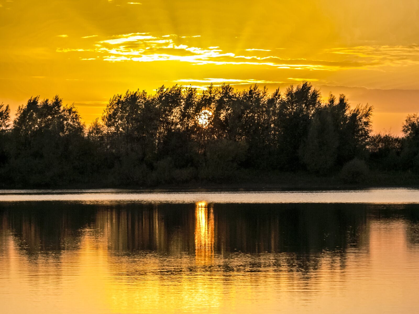 Olympus E-3 sample photo. Landscape, pond, sun photography