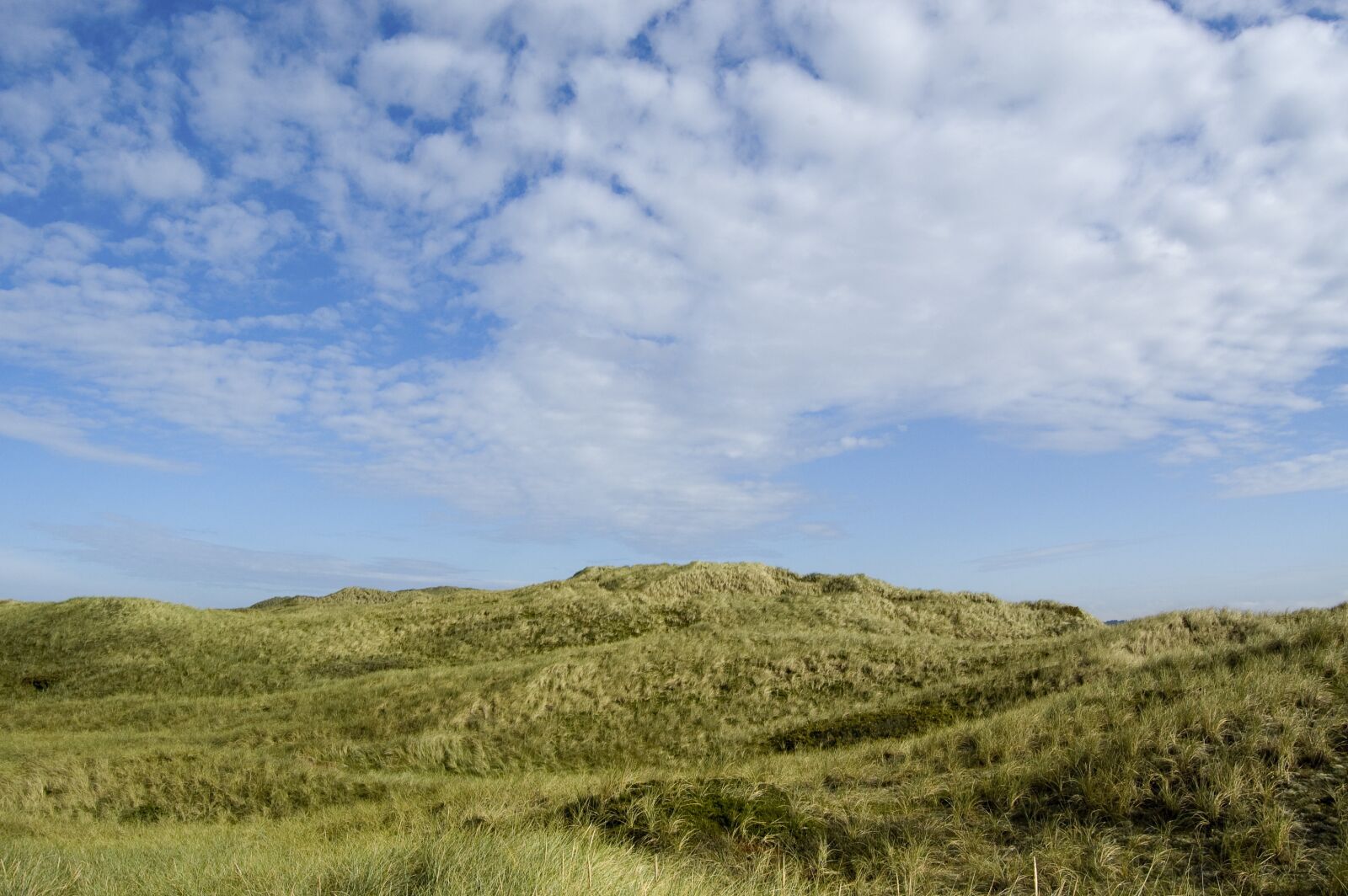 Nikon D70s sample photo. Denmark, hills, grassland photography