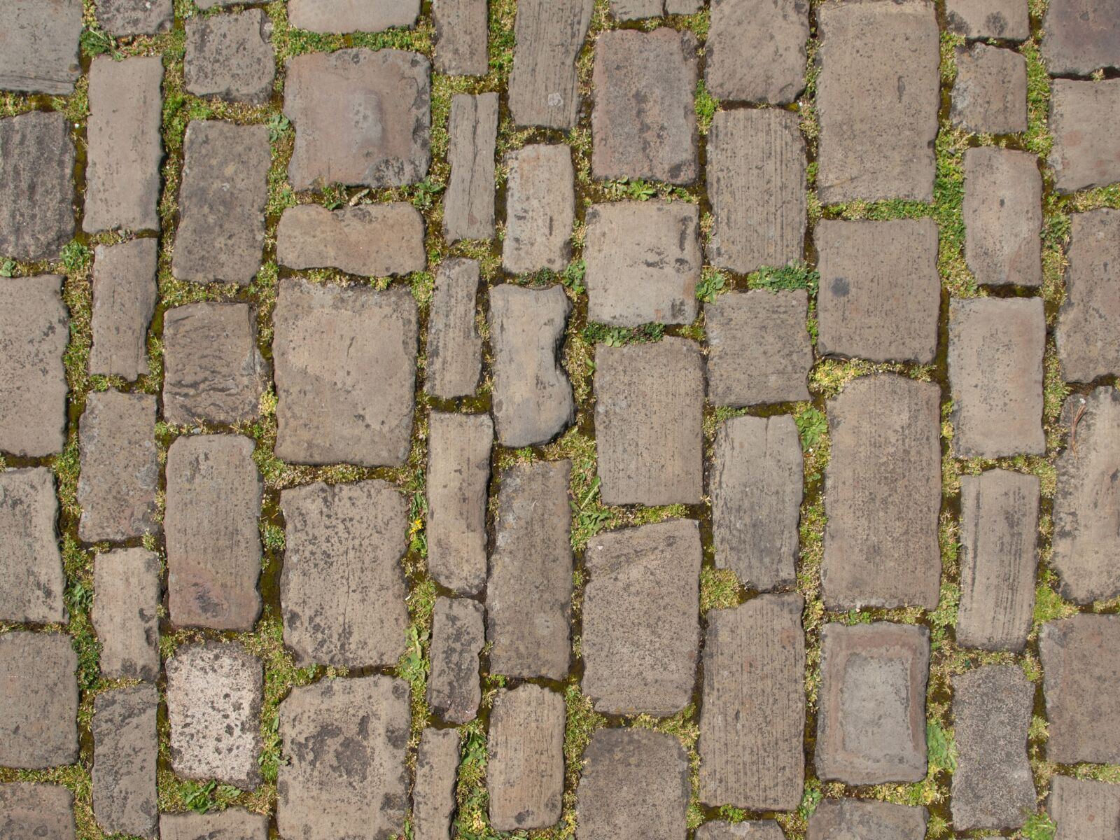 Olympus E-510 (EVOLT E-510) sample photo. Stones, patch, road photography