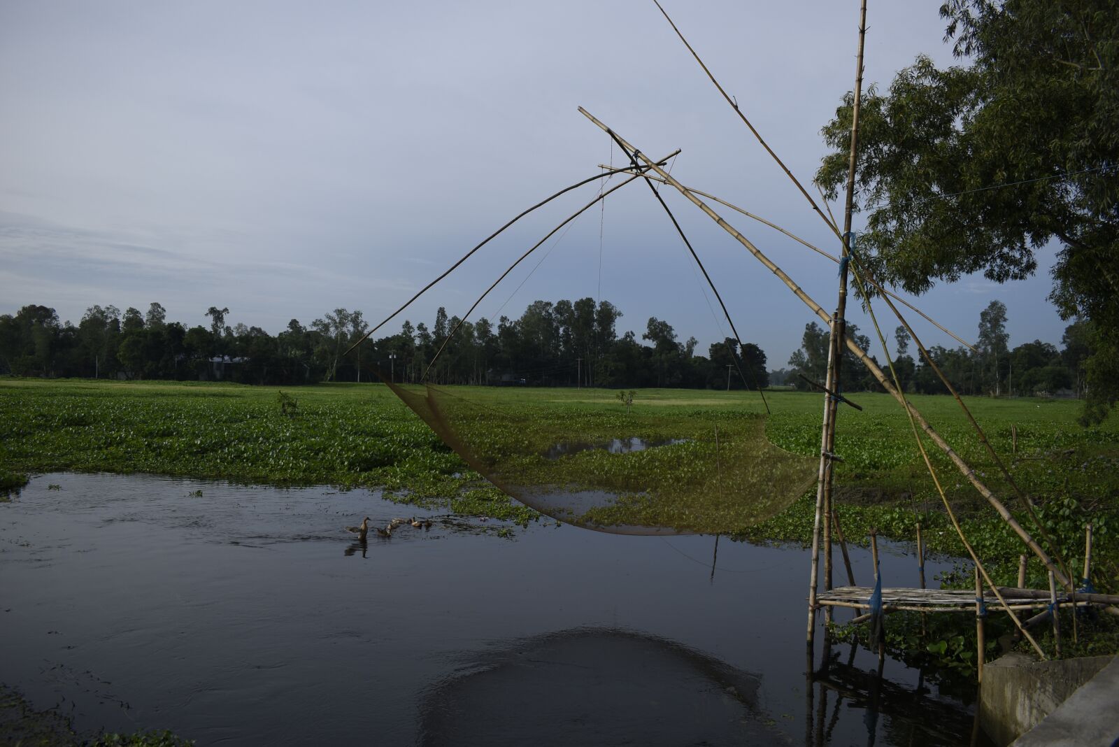 Nikon D5600 sample photo. Bangladesh, flood, scenery photography