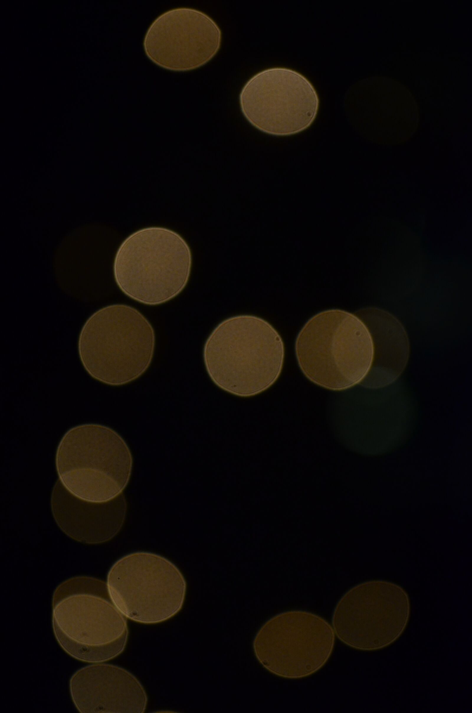 Nikon D5100 sample photo. People, nature, landscape photography