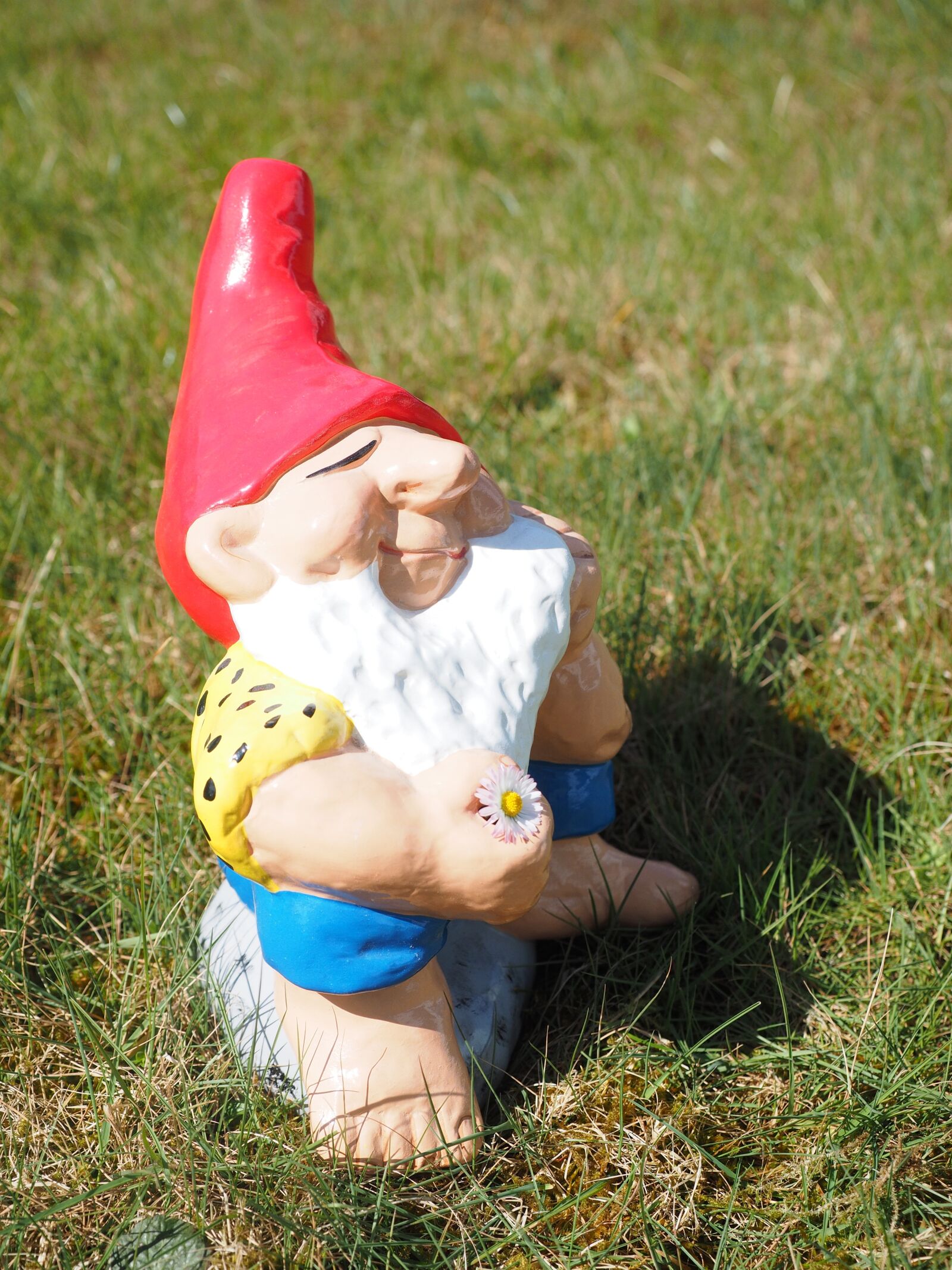 Olympus OM-D E-M1 + Olympus M.Zuiko Digital ED 12-40mm F2.8 Pro sample photo. Dwarf, garden gnome, satisfied photography
