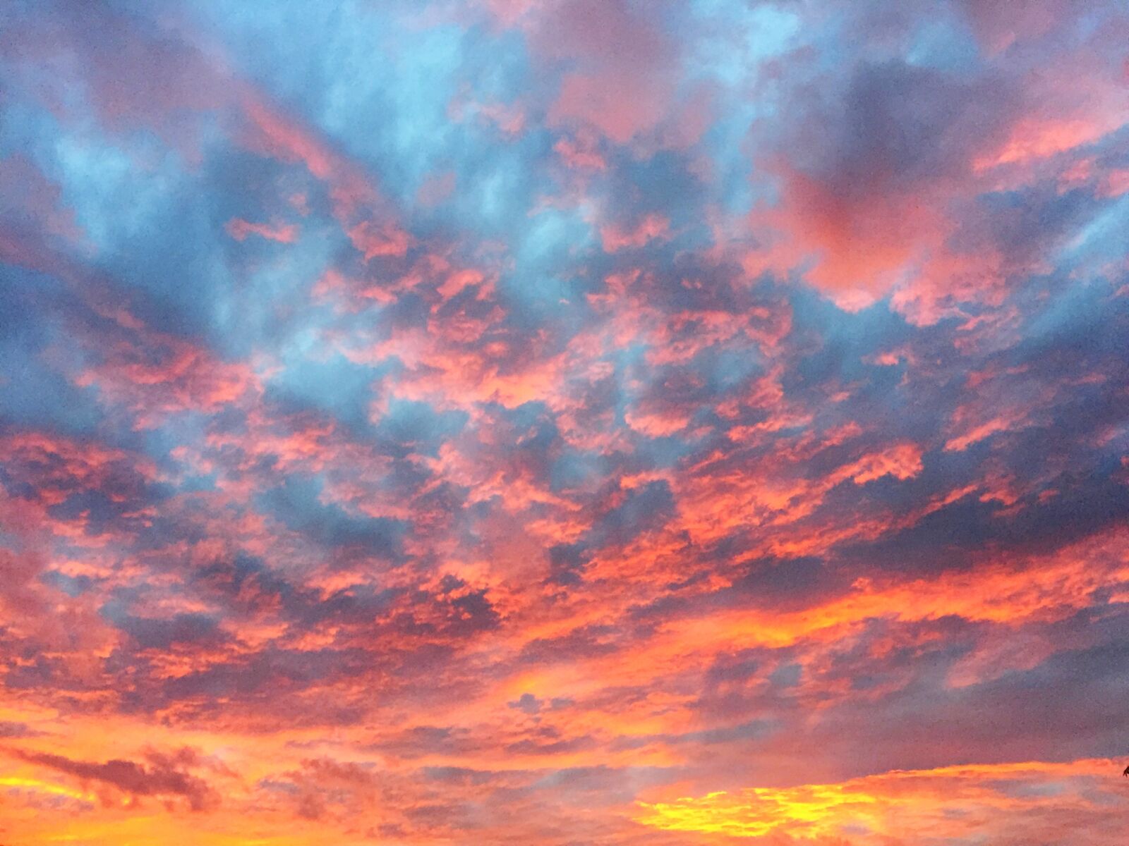 Apple iPhone 6 sample photo. Clouds, sunset photography