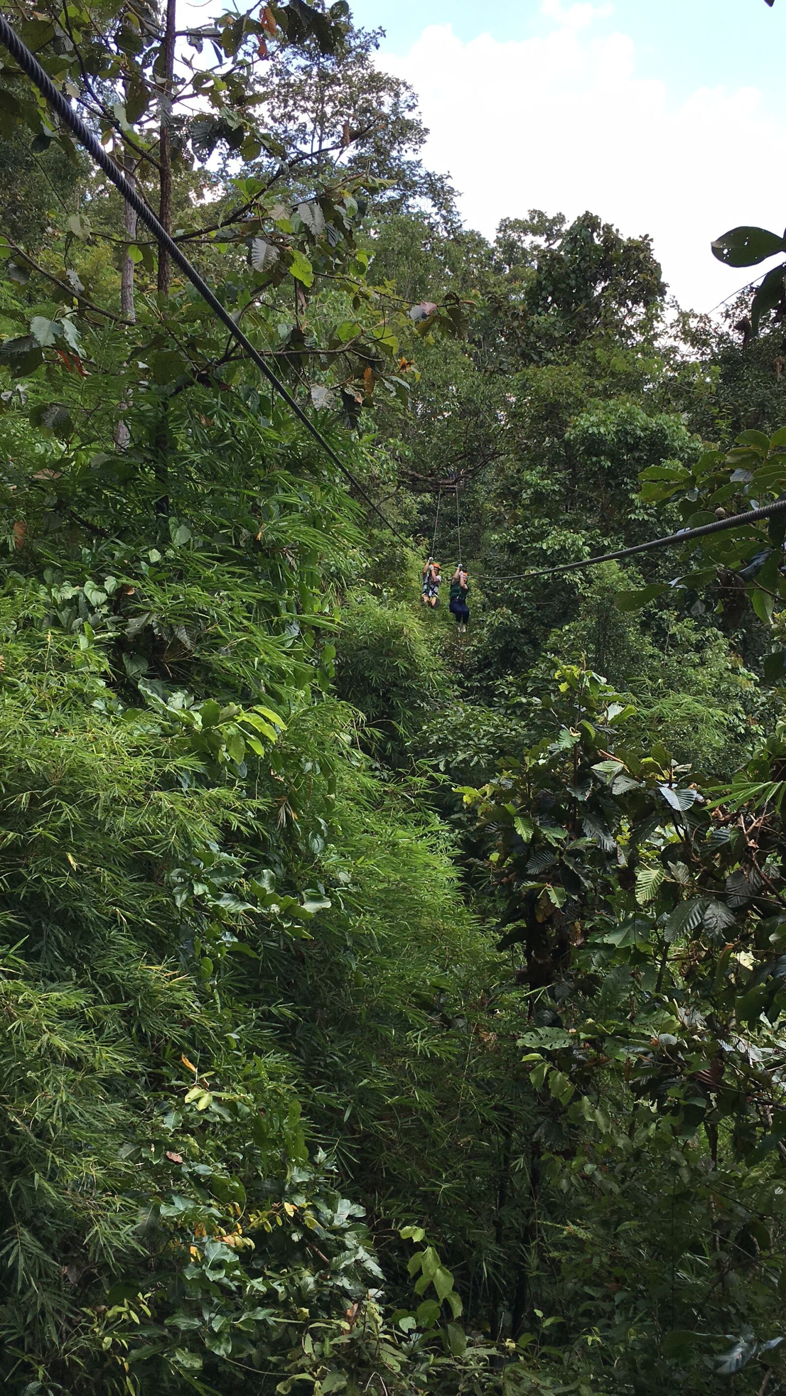 iPhone 6s Plus back camera 4.15mm f/2.2 sample photo. The jungle flying over photography
