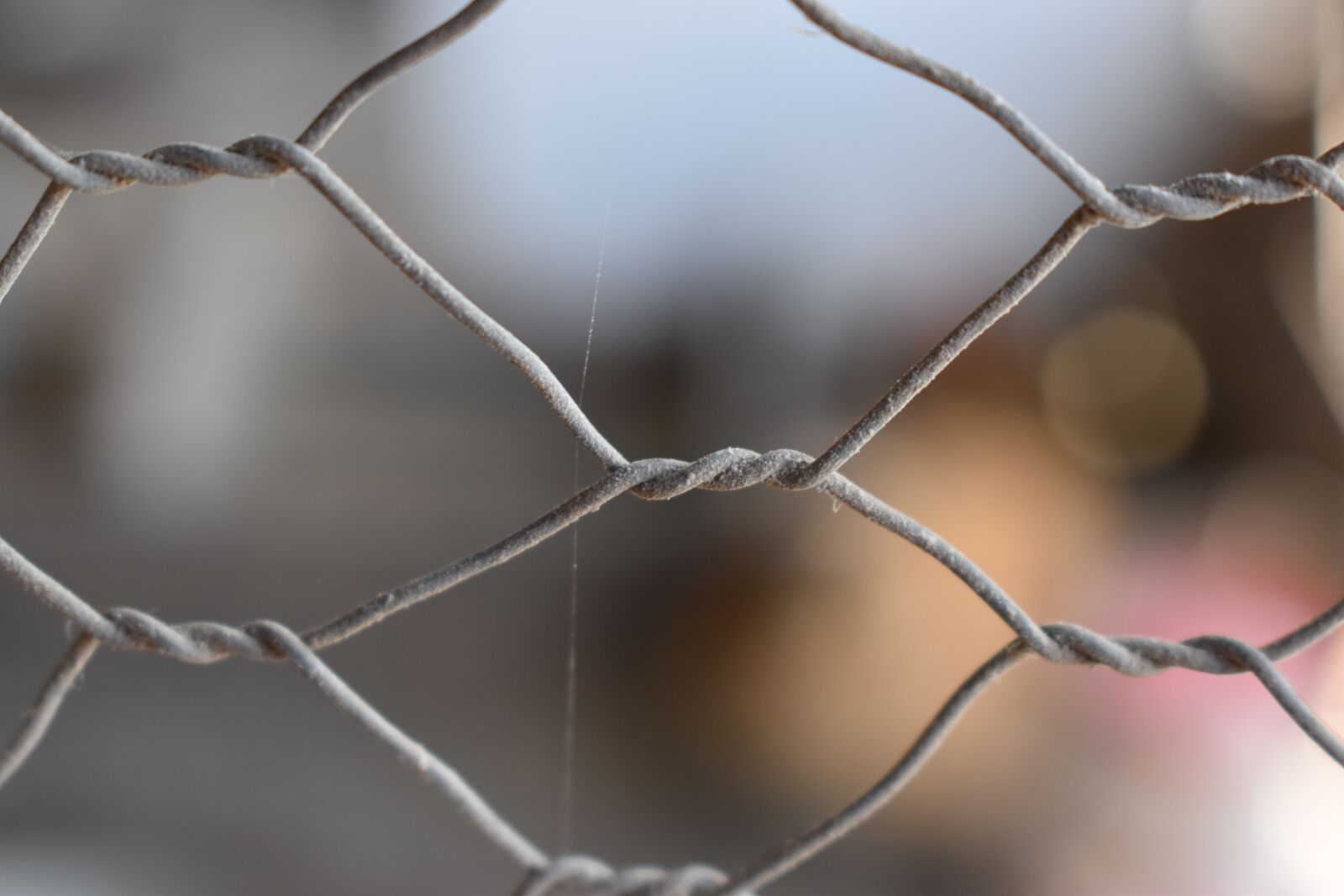 Nikon D5600 sample photo. Wire, vintage, old photography