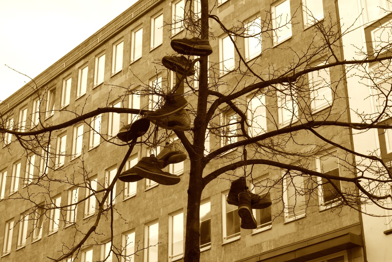 Sony Cyber-shot DSC-RX100 sample photo. Shoe tree, street art photography