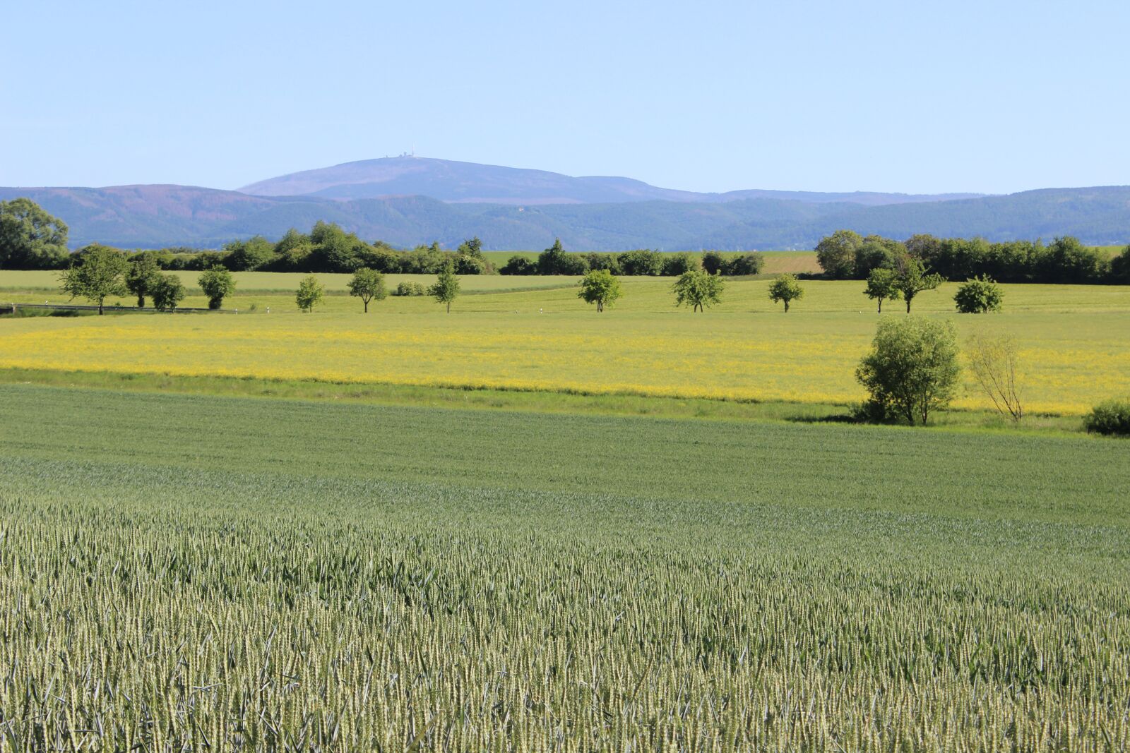 Canon EOS 600D (Rebel EOS T3i / EOS Kiss X5) sample photo. Resin, foothills of the photography