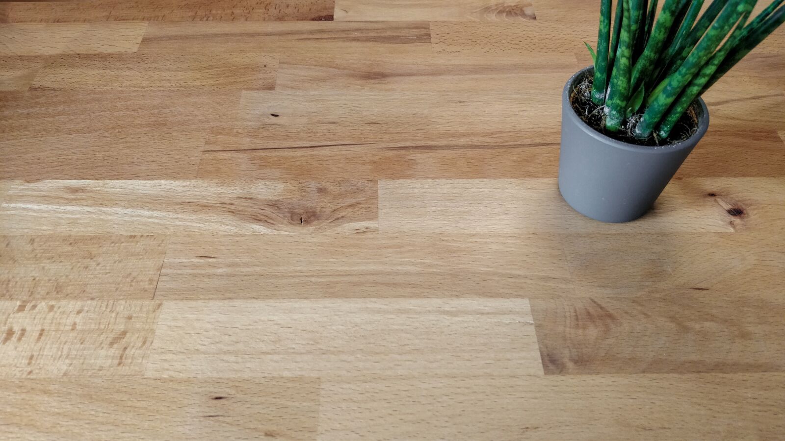 OnePlus 5 sample photo. Wood, plant, table photography