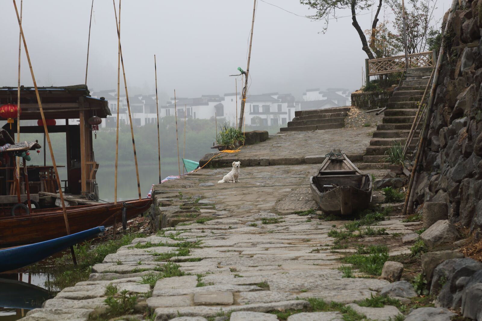 Canon EF 24-105mm F4L IS USM sample photo. Fishing boats, road, fog photography