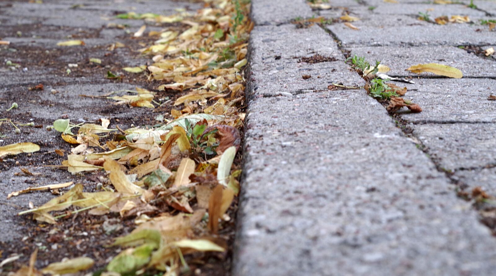 Pentax K-S2 sample photo. Walkway, border, street photography