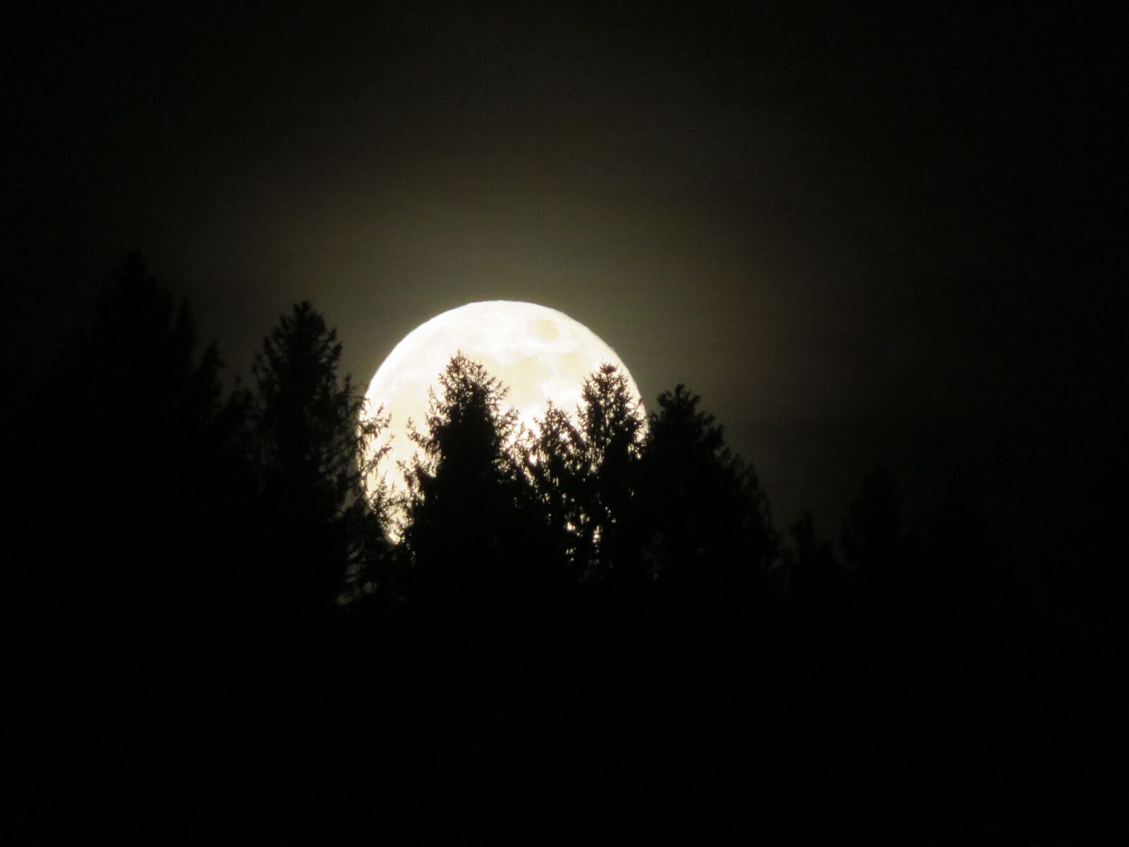 Canon PowerShot SX720 HS sample photo. Moon, night, full moon photography